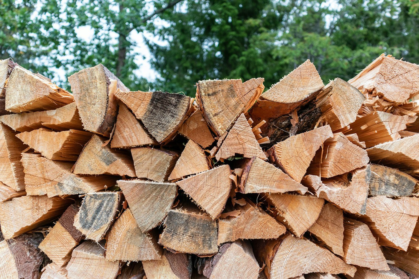 Bois de chauffage fraîchement fendu et empilé, laissé sur place par notre élagueur à Revel