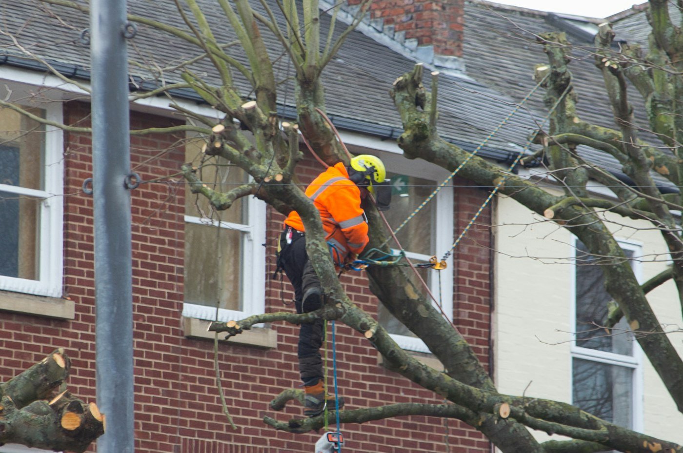 Élagueur en gilet orange réduisant un arbre au-dessus d’une toiture