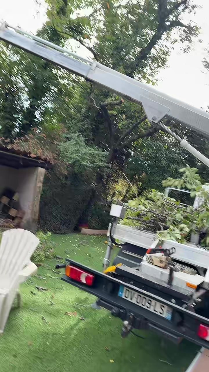 Camion nacelle bras déployé, branches chargées sur le plateau
